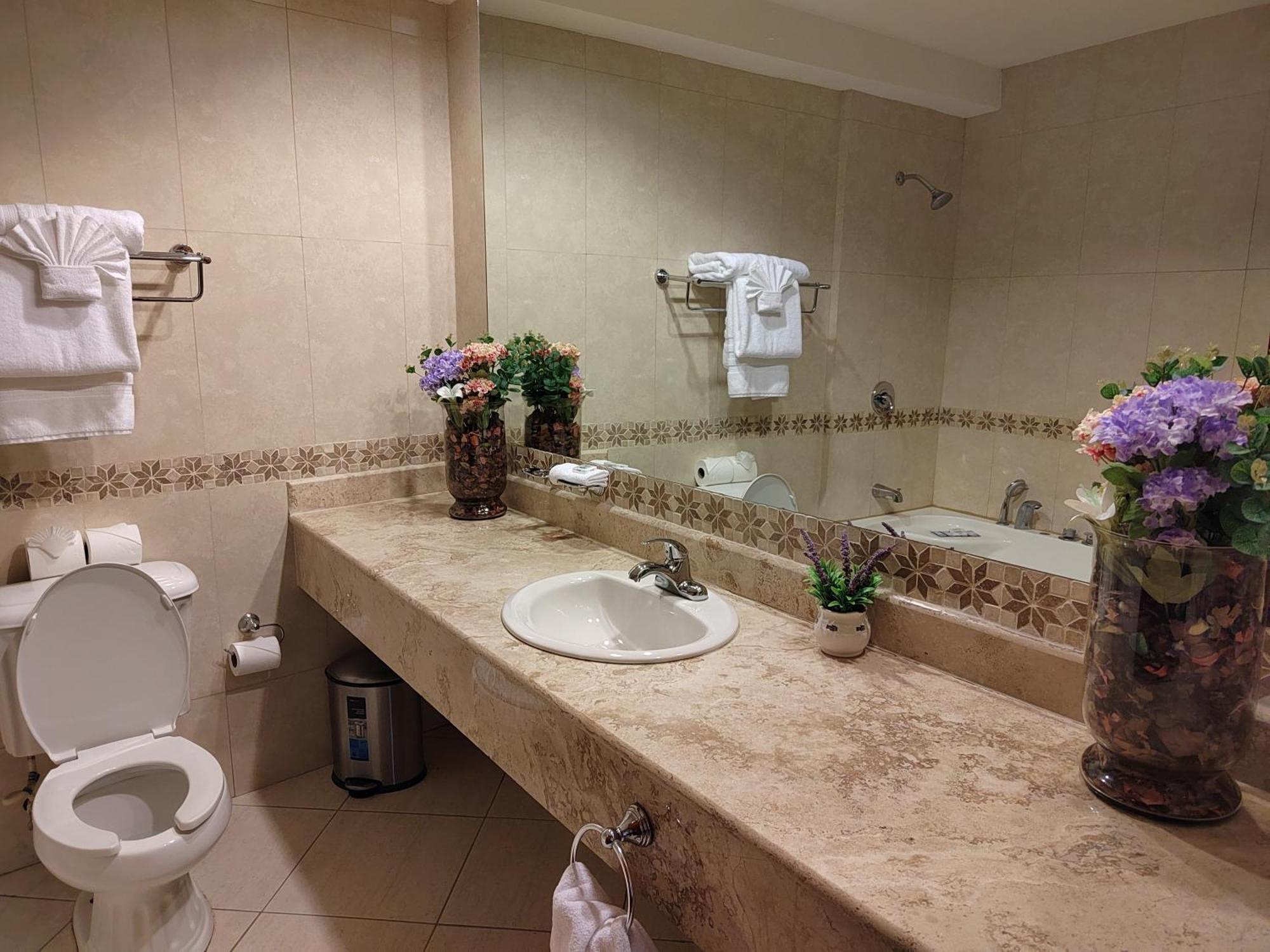 קורוזאל Princess Hotel And Casino Free Zone מראה חיצוני תמונה